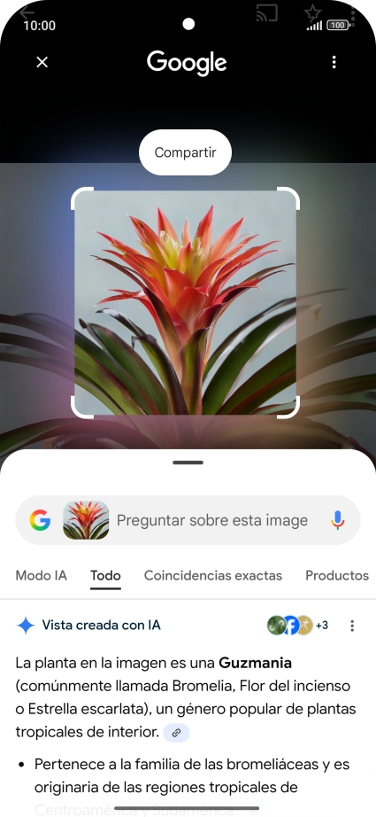 Sigue las indicaciones de la pantalla para utilizar los resultados de búsqueda.