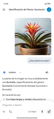 Sigue las indicaciones de la pantalla para escribir o decir en alto la pregunta deseada. Puedes adjuntar fotografías o documentos y hacer preguntas acerca de ellos.