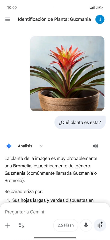 Sigue las indicaciones de la pantalla para escribir o decir en alto la pregunta deseada. Puedes adjuntar fotografías o documentos y hacer preguntas acerca de ellos.
