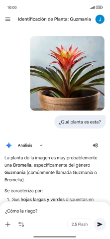 Sigue las indicaciones de la pantalla para escribir o decir en alto más preguntas y continuar la conversación.