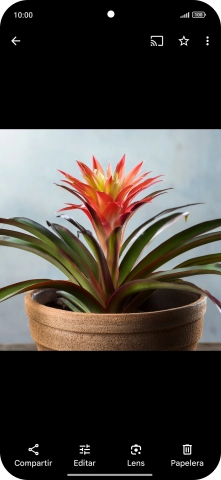 Desplázate a la fotografía deseada.