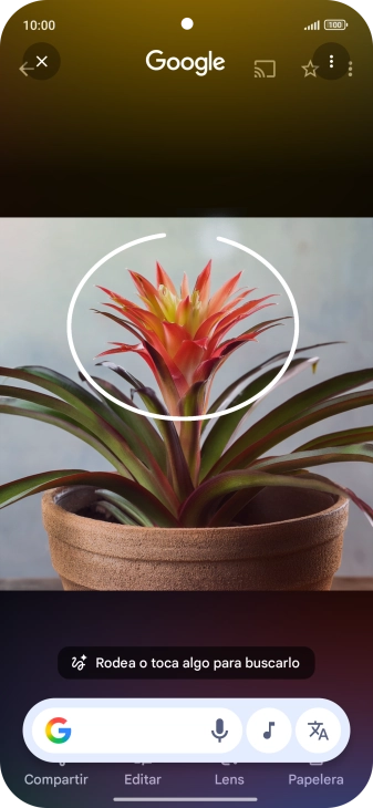 Rodea con un círculo el elemento deseado de la fotografía y espera a que aparezcan los resultados de búsqueda.